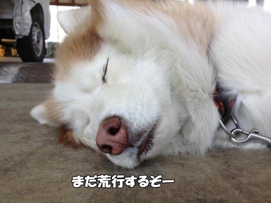 逕サ蜒・005_convert_20130427120630
