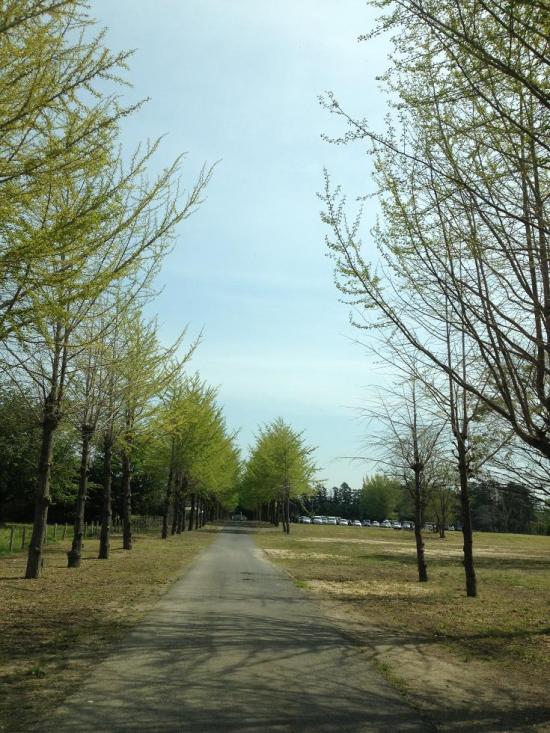 逕サ蜒・027_convert_20130501112021