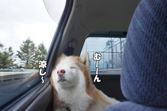 逕サ蜒・081_convert_20130507112543