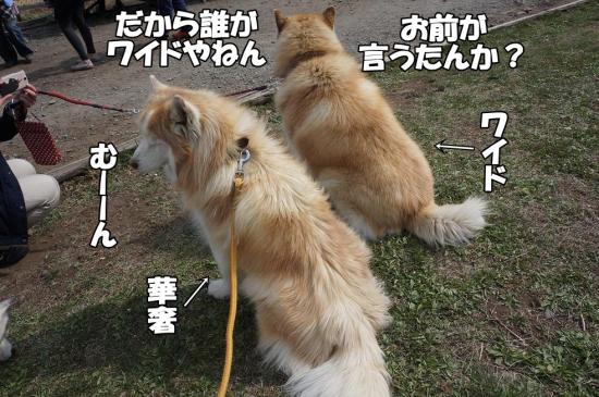 逕サ蜒・091_convert_20130507112610