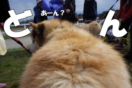 逕サ蜒・109_convert_20130507112728