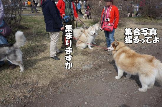 逕サ蜒・093_convert_20130507112632