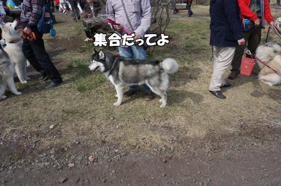逕サ蜒・094_convert_20130507112646