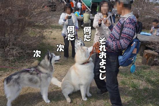 逕サ蜒・096_convert_20130507112702