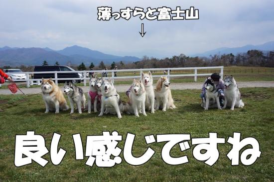 逕サ蜒・108_convert_20130507112714