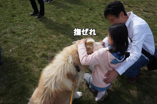 逕サ蜒・111_convert_20130507112742