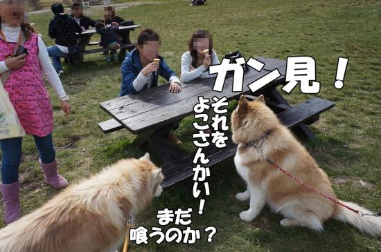 逕サ蜒・112_convert_20130507112752