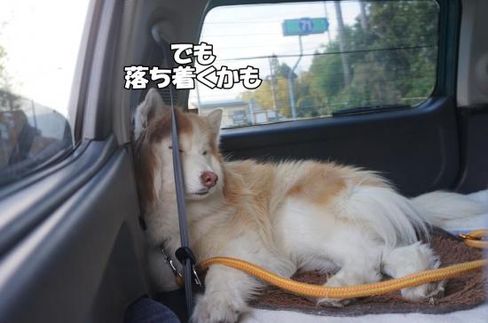 逕サ蜒・120_convert_20130507112830