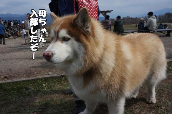 逕サ蜒・090_convert_20130508112027