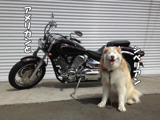逕サ蜒・004_convert_20130512145447