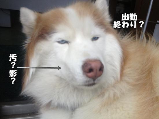 逕サ蜒・008_convert_20130516180116
