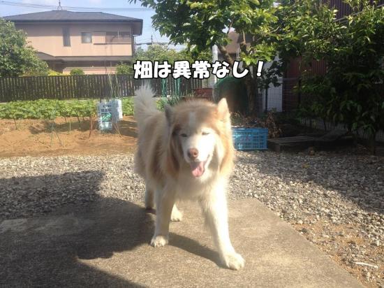 逕サ蜒・001_convert_20130516180037