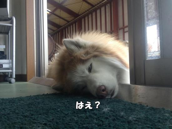 逕サ蜒・005_convert_20130516180057
