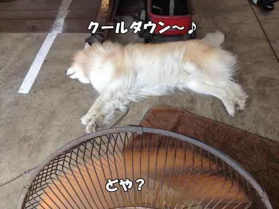 逕サ蜒柔convert_20130518115548