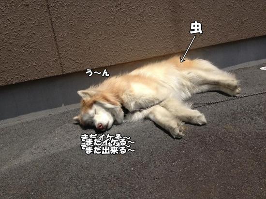逕サ蜒・002_convert_20130518115610