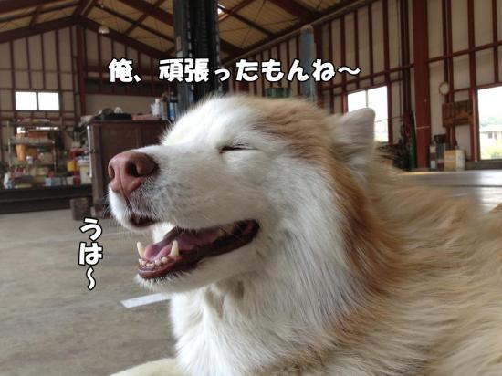 逕サ蜒・004_convert_20130518115627
