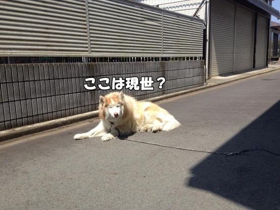 逕サ蜒・002_convert_20130525155228