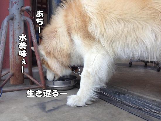逕サ蜒・003_convert_20130525155237