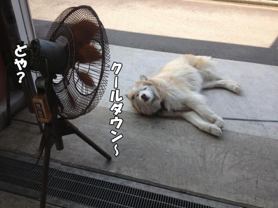 逕サ蜒・006_convert_20130525155256