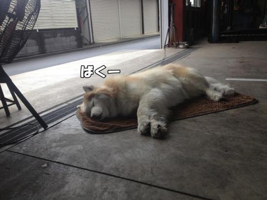 逕サ蜒・001_convert_20130530170747