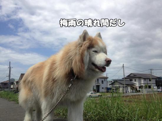 逕サ蜒・006_convert_20130531183844