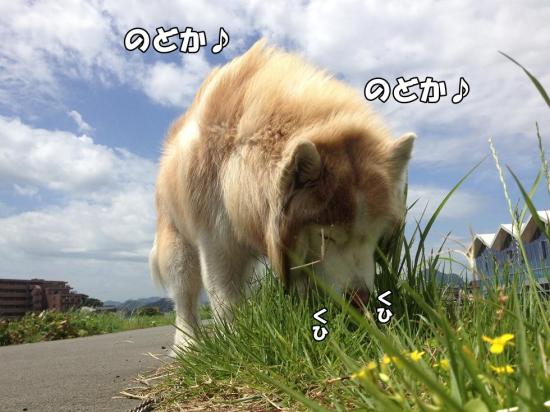 逕サ蜒・007_convert_20130531183855
