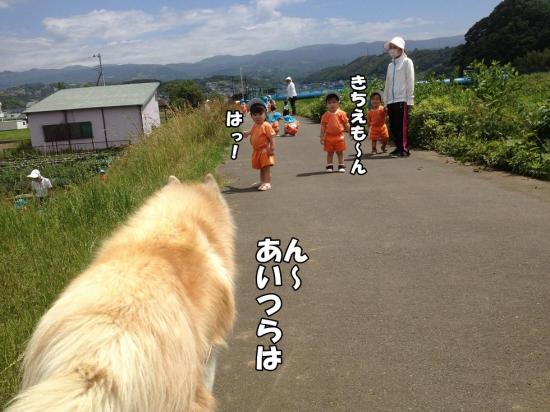 逕サ蜒・008_convert_20130531183906