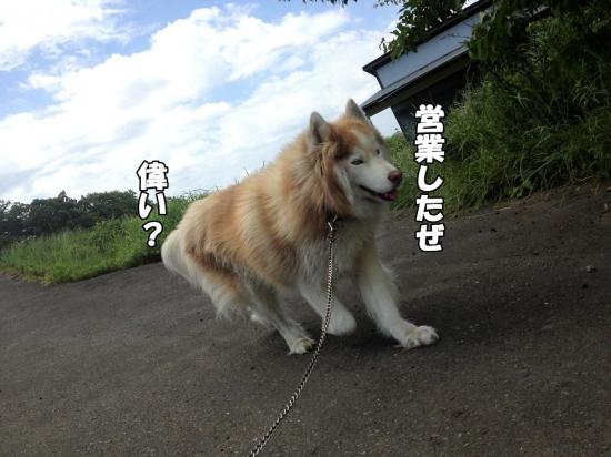 逕サ蜒・011_convert_20130531183937