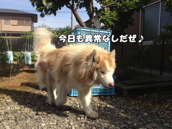 逕サ蜒・013_convert_20130531183959