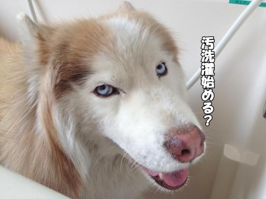 逕サ蜒・006_convert_20130601160613