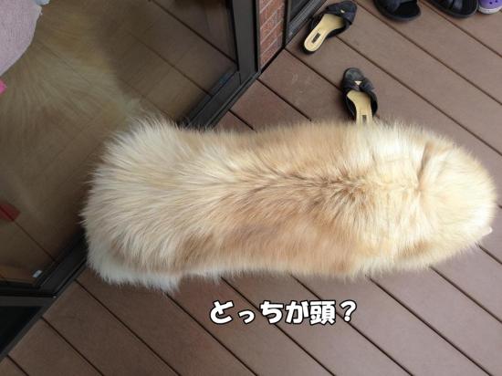 逕サ蜒・027_convert_20130601160712