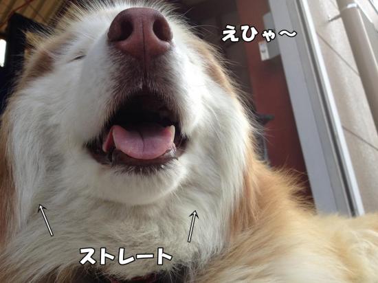 逕サ蜒・019_convert_20130604142048