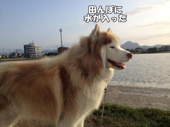 逕サ蜒・022_convert_20130604142108