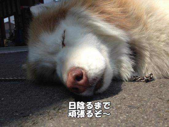 逕サ蜒・028_convert_20130604142150