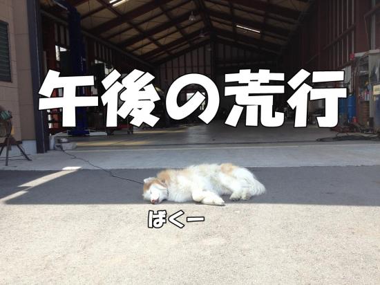 逕サ蜒・001_convert_20130605155531