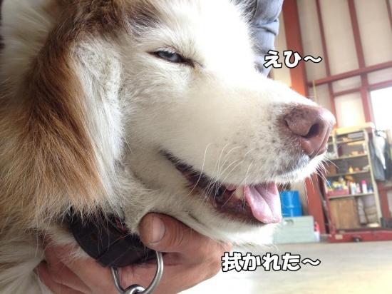 逕サ蜒・010_convert_20130605155656