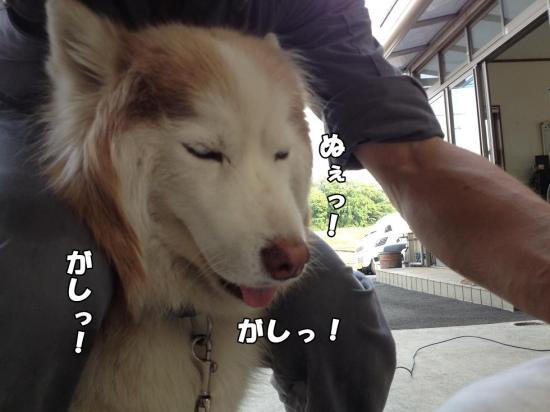 逕サ蜒・006_convert_20130605155621