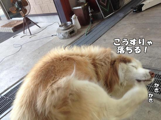 逕サ蜒・007_convert_20130605155630