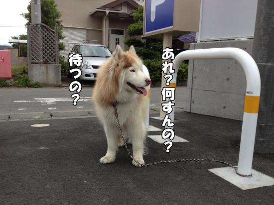 逕サ蜒・013_convert_20130608181011