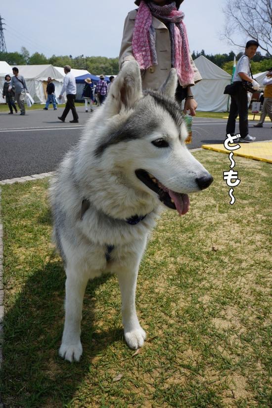 レオ君
