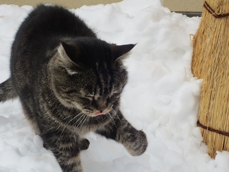 雪4