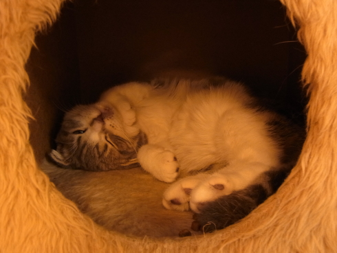 120515d.jpg