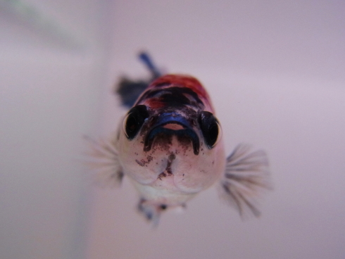 120520l.jpg