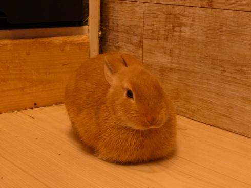 120716e.jpg
