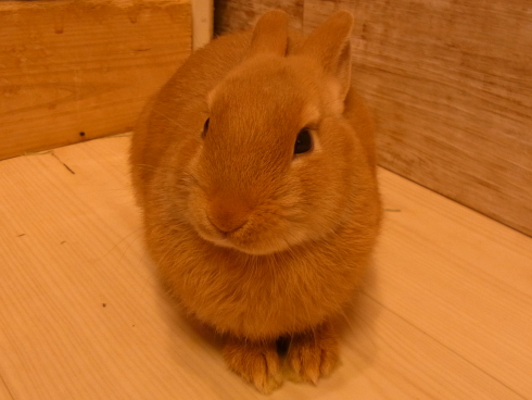 120716f.jpg