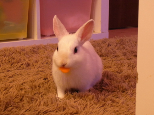 120716h.jpg