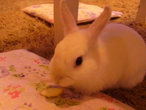 120716j.jpg
