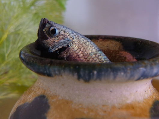 120927e.jpg