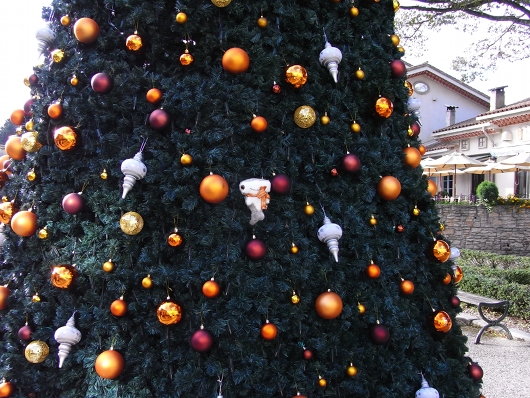 121225b.jpg