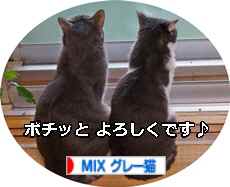 にほんブログ村 猫ブログ MIXグレー猫へ